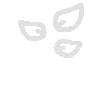 Invecchiamento attivo